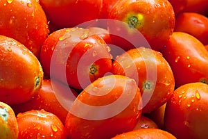 Tomatoes wallpaper