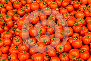 Group of red tomatoes food wallpaper