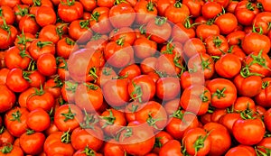 Group of red tomatoes food wallpaper