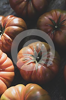 group of red tomatoes produced in an organic urban garden in a rural home field for own consumption