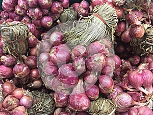 Group of ref shallot in market photo