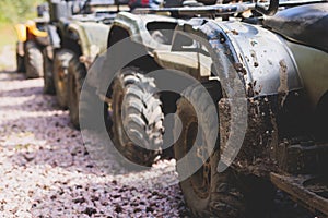 Group of riders riding ATV vehicle crossing forest rural road, process of driving rental vehicle, all terrain quad bike vehicle,