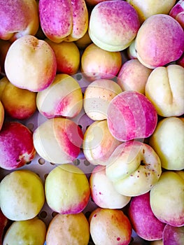 A group of ripe peaches in a bowl
