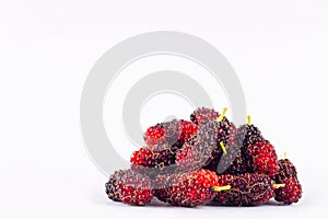 Group of ripe mulberries on white background healthy mulberry fruit food isolated