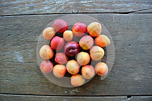 Group of ripe orange apricots on the rustic wooden table