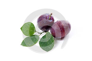 Group of ripe plums with leaf isolated on a white background