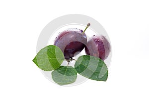 Group of ripe plums with leaf isolated on a white background