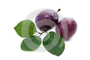 Group of ripe plums with leaf isolated on a white background.