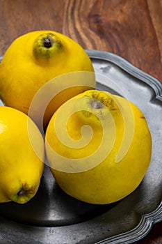Group of ripe yellow quince apples