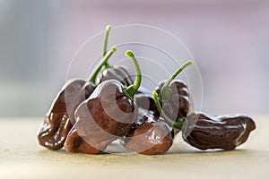 Group of ripened capsicum chinenses very hot peppers on wooden table, Habanero chocolate