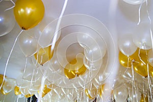 A group of rising helium balloons in white and gold color on a ceiling of an apartment