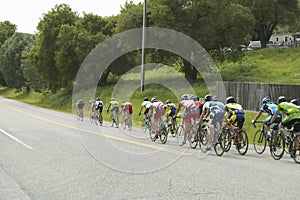 A group of road bicyclists