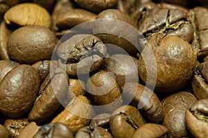 roasted coffee beans photo