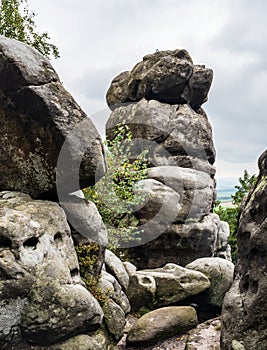 Group of rock formations on Cap hill summit in Teplicke skaly in Czech republic