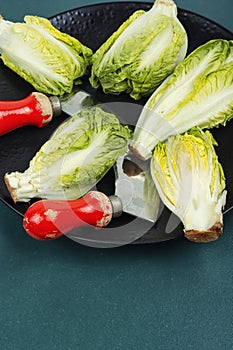 Group of Romaine lettuce hearts