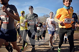 group of runners amateur marathon in the city park dnepropetrovsk city november