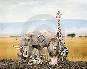 Group of Safari Animal Friends