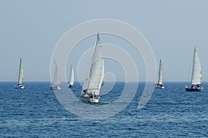 Group Of Sailboats