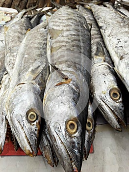 Group of Salted dried Indo-Pacific King Mackerel Fish at seafood market