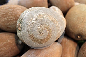 Sapote fruit