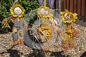 Group of Scarecrows decorate garden during competition