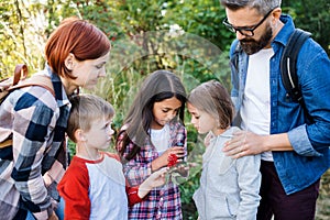 Group of school children with teacher on field trip in nature, learning science.