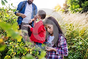 Group of school children with teacher on field trip in nature, learning science.