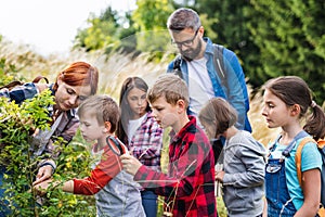 Group of school children with teacher on field trip in nature, learning science. photo