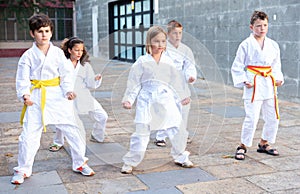 Group of schoolchildren practicing karate at schoolyard