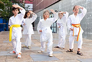 Group of schoolchildren practicing karate at schoolyard