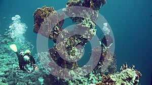 Group of scuba divers ascending on water surface in Egypt.