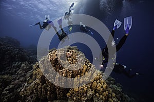 A group of scuba divers swimming over the coral reef