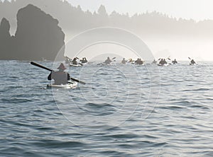 Group of sea kayakers