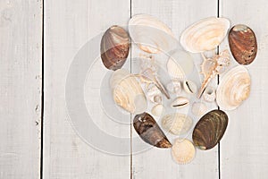 group of sea shells laid out in the shape of heart on white wooden background