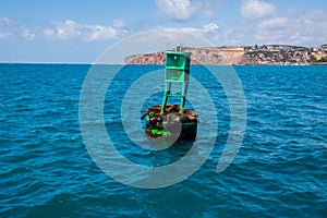 Group of seals including two babies sleep on a green buoy in the ocean off of the California coast