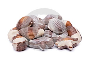 Group of seashell chocolate bar