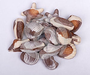 Group of seashell chocolate bar
