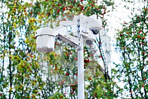 A group of security cameras on a pole in the park. Three ICTV cameras on the background of a rowan tree