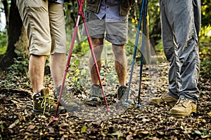 Group of senior adults trekking in the forest