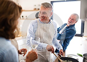 Group of senior friends at dinner party at home, cooking.