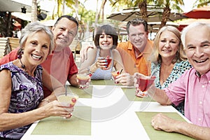 Group Of Senior Friends Enjoying Cocktails In Bar Together