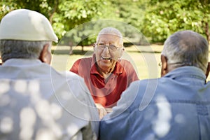 Grupo de hombres divirtiéndose a sonriente en el parque 