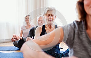 Group of senior people doing yoga exercise in community center club.