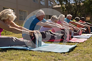 Group of senior people exercising in the park