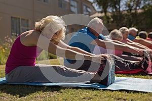 Group of senior people exercising in the park