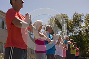 Group of senior people performing yoga in the park