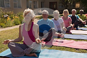 Group of senior people performing yoga in the park