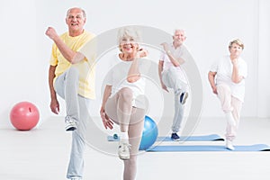 Group of seniors at the gym