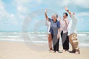 Group of seniors playing together on vacation Dye and be happy during retirement