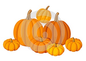 Group of seven orange pumpkins.